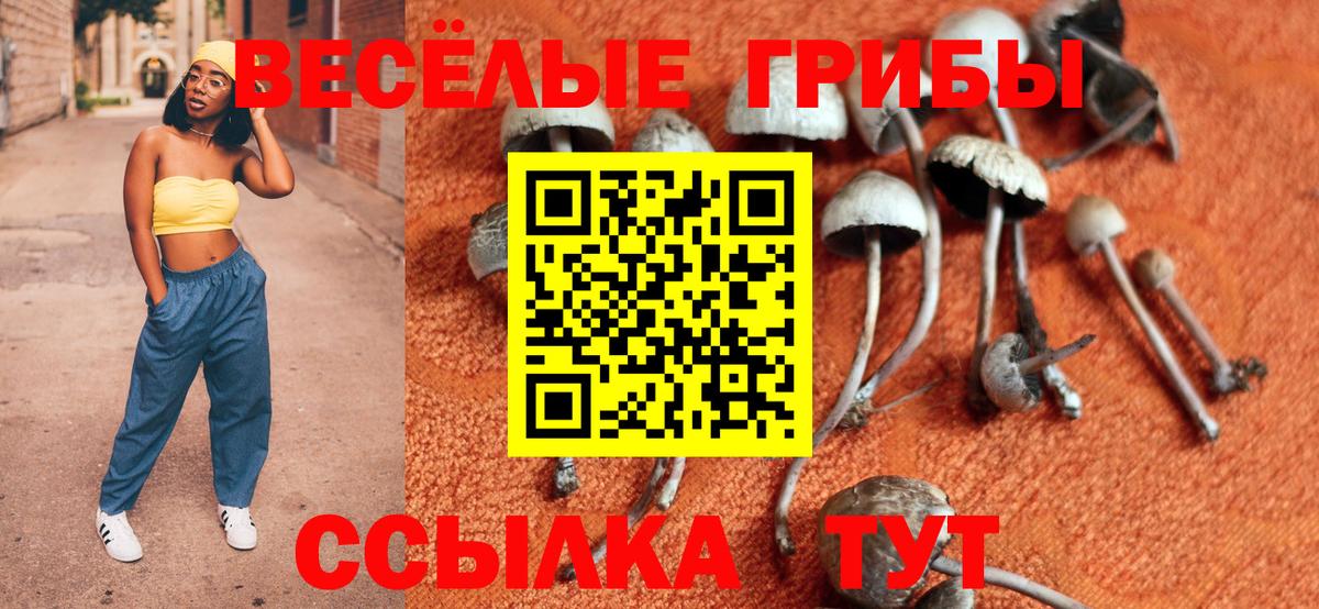 Псилоцибиновые грибы Psilocybine cubensis  Вход с VPN  Рязань 