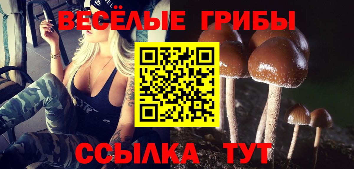 Псилоцибиновые грибы GOLDEN TEACHER Рязань